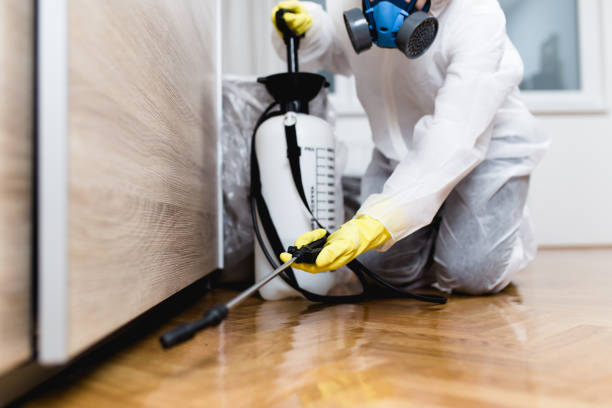 Best Termite Control Services  in Lake Camelot, IL