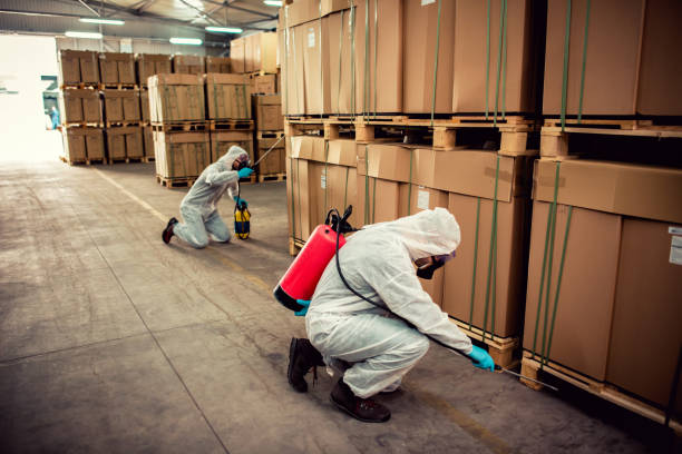 Best Affordable Pest Control Services  in Lake Camelot, IL