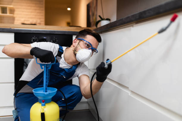 Best Emergency Pest Control  in Lake Camelot, IL