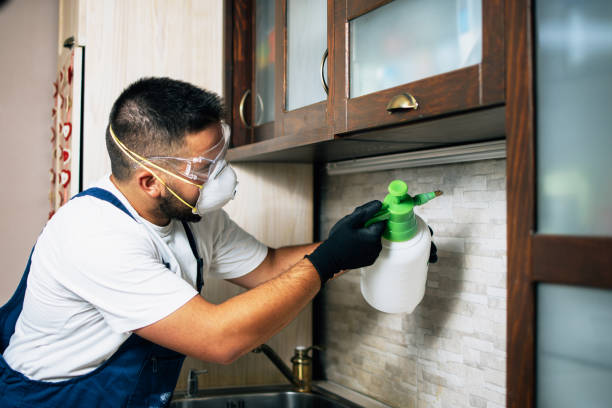 Best Pest Removal Services  in Lake Camelot, IL