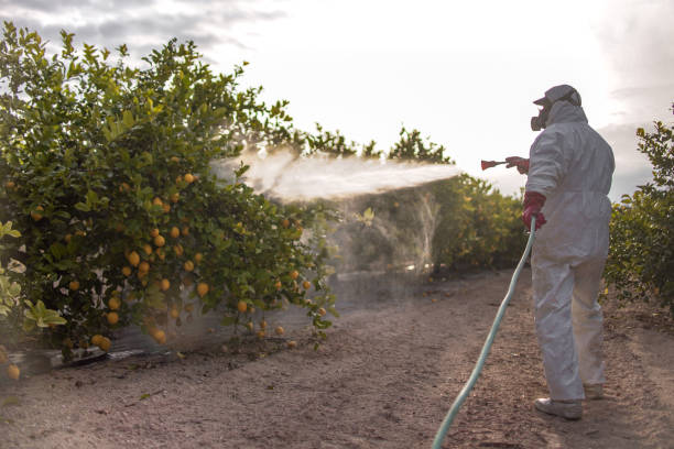 Best Pest Control Near Me  in Lake Camelot, IL