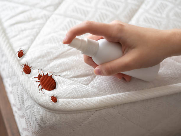 Best Best Pest Control Companies  in Lake Camelot, IL