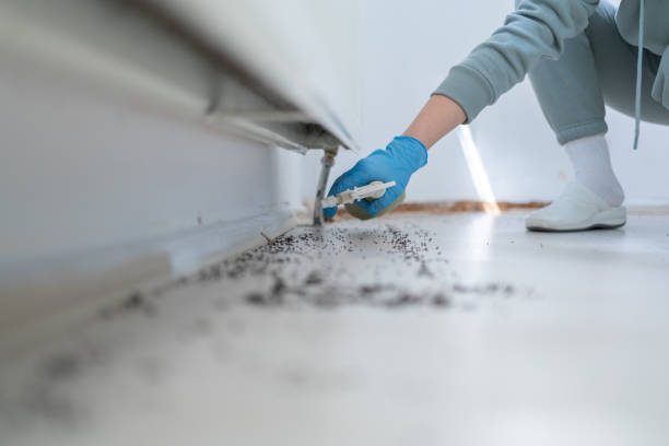 Best Affordable Pest Control Services  in Lake Camelot, IL